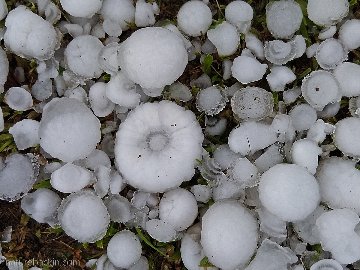 Hailstones in pattern on the ground
