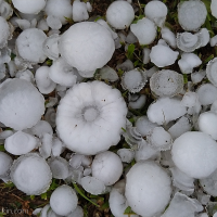 Patterns in nature: Hailstones and their aftermath